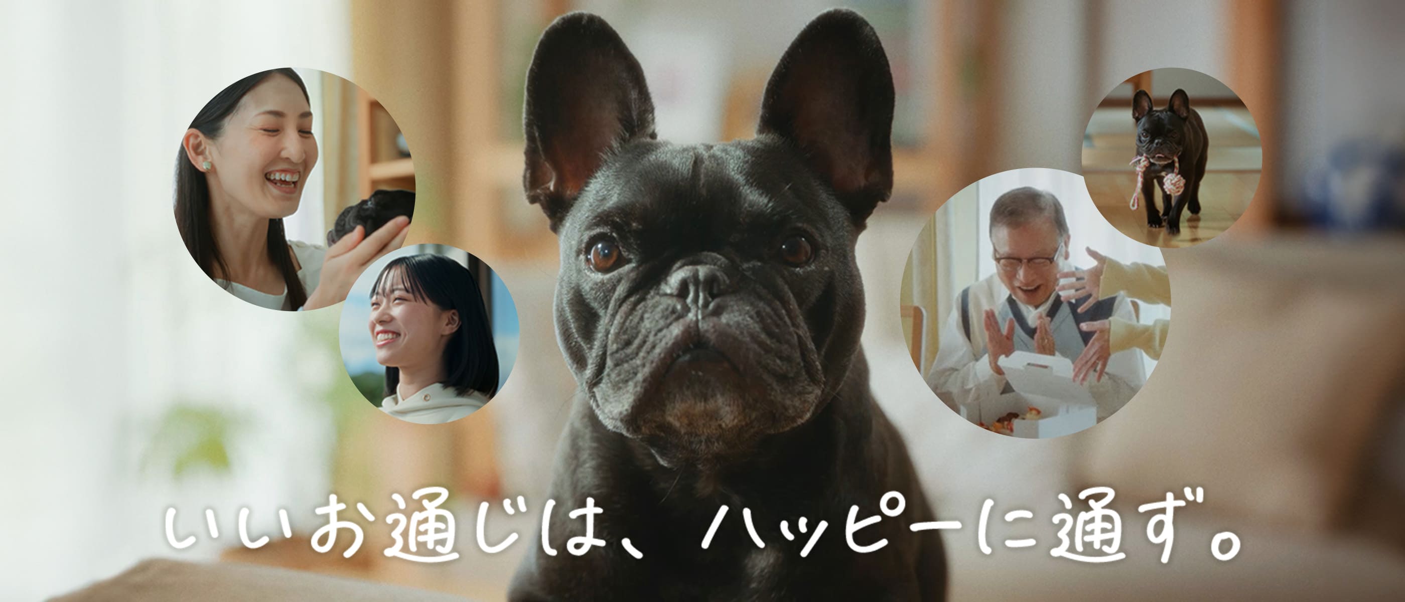 3AマグネシアS CM再生リスト YouTube（新しいタブで開きます）